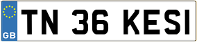 Truck License Plate